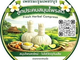 ลูกประคบสมุนไพรสดแช่แข็ง ❄️ กลิ่นหอมแรง ลดปวดเมื่อย ฟื้นฟูร่างกาย