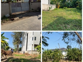 ขายที่ดิน 6 ไร่กว่า พหลโยธิน35 แยก19 ซ.สังข์ทอง 9 ใกล้เมเจอร์รัช