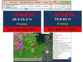 ขายที่ดิน ขนาดพื้นที่ดิน 98 ไร่ 2 งาน 62 ตารางวา จังหวัดสมุทรสาคร