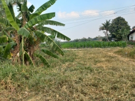 ขายที่ดิน 12 ไร่ 20 ตารางวา เจ้าของขายเอง ตำบลช่องสาริกา อำเภอพัฒ