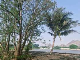ขายที่ดิน ริมน้ำในเมืองโอกาสแบบนี้ไม่ได้มีบ่อย — แปลงใหญ่ วิวภูเข