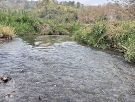 ขายที่ดิน  063 - 9352897  คุณเล็ก 14 ไร่ 90 ตารางวา เชียงใหม่