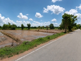 ขายที่ดินสวย ทำเลดีมาก ติดถนน 2 ด้าน ตำบลเด่นใหญ่ อำเภอหันคา จังห