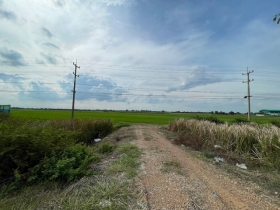 ขายทำเลดีและพื้นที่ที่ดินสวยมาก  ต.บางพระขาว อ.บางบาล จ.พระนครศรี