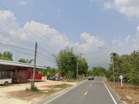 Vายสวนทุเรียน(หมอนทอง) + ล้ง โฉนดพร้อมโอน 50 ไร่เศษ