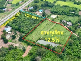 ขายสวนทุเรียน  12.5 ไร่  ตำบลโนนห้อม อำเภอเมือง จังหวัดปราจีนบุรี